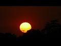 Rising Sun l Free HD Videos l No Copyright