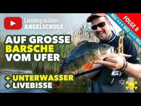 Gezielt auf große Barsche vom Ufer angeln (Staffel 1, Folge 8)