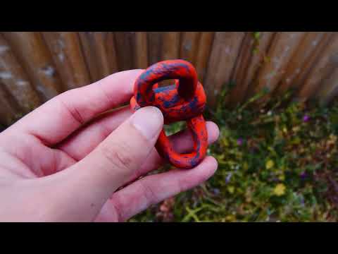 Exploring the Weird Patch of Grass in My Backyard