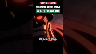 100년만에 새로운 현상금과 숨겨진 니카 루피 떡밥