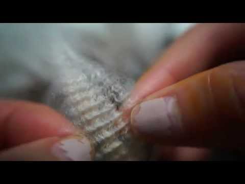 Wool production made simple   2014