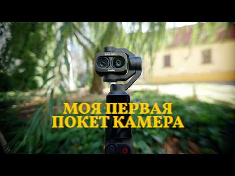 фото dji osmo pocket 4p vlog 0