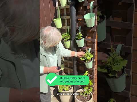 Gardening tips for small spaces