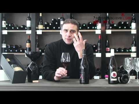 Sancerre Cuvée X Domaine Fouassier