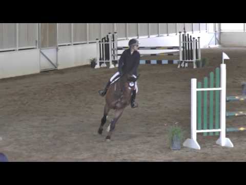 Show Park Loristan M Ch/Ad Classic 2nd Betsie Smith