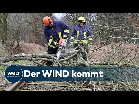 STURM SABINE: Orkantief sorgt im Norden für starke Einschränkungen