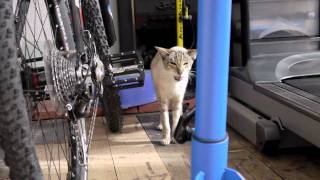 My  name is Kato and this is what I do..