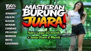 Download lagu CEPAT MASUK!! MASTERAN KOMBINASI TERBAIK BURUNG JUARA!! mp3 Download lagu CEPAT MASUK!! MASTERAN KOMBINASI TERBAIK BURUNG JUARA!! mp3