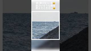 少しでも気に入ったらチャンネル登録よろしくお願いします🐷 #歌ってみた #歌い手