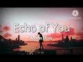 Echo of you - Mann boss (Lyrics Music 🎶)