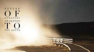 Future of Forestry  - Horses (Audio Only)