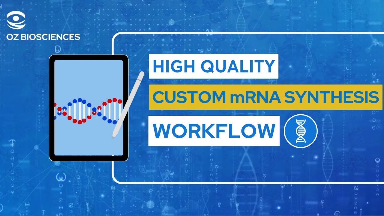 Custom mRNA synthesis workflow