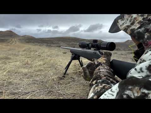 Annual Youth hunt featuring Tikka rifles.