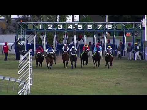 RM30 R10 | El Patron | M.Martinez