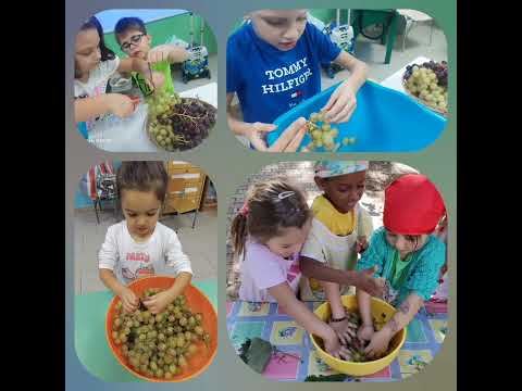 La vendemmia - Scuola infanzia e primaria plesso "G.Asta".