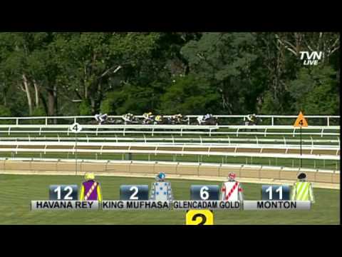 2013 Chipping Norton Stakes 1600m -Shoot Out