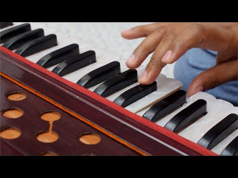 Closeup shot of hands of musician playing keys of harmonium   | Indian Stock Footage | Knot9