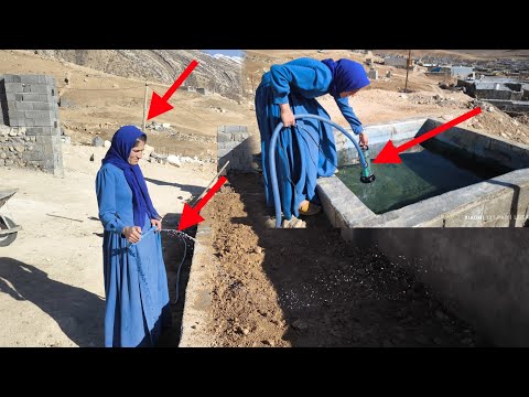 "From dirt and mud to a true paradise! The story of Jamila's garden 🌷✨"