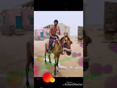 Hawksbay beach___HORSE Riding