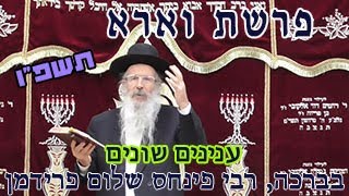 פרשת וארא ענינים שונים תשפ"ו-הרב פינחס שלום פרידמן