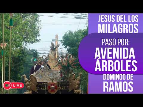 Paso de Jesús de los Milagros de San José | Domingo de Ramos 2026 Guatemala