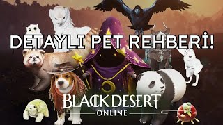 PET REHBERİ?! (2025 - GÜNCEL)  l BLACK DESERT ONLINE TÜRKÇE #5