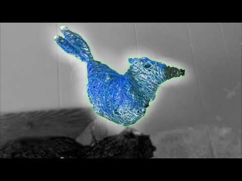 download lagu mp3 mp4 How To Make A Wire Bird Step By Step, download lagu How To Make A Wire Bird Step By Step gratis, unduh video klip How To Make A Wire Bird Step By Step