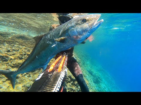 Spearfishing Croatia, Best year ever - 30 top shots