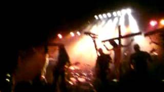 God Seed - Carving a giant live