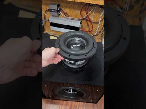 Speaker bass, custom 8 inch subwoofer CT audio