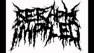 Seraph Impaled - Between The Wasteland & Sky