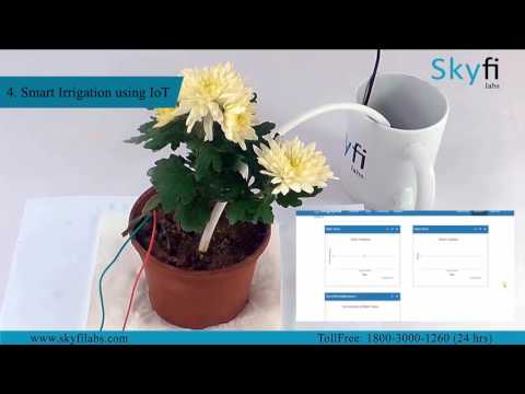 5 IoT based Projects (Combo Course) to learn & build from home - Skyfi Labs