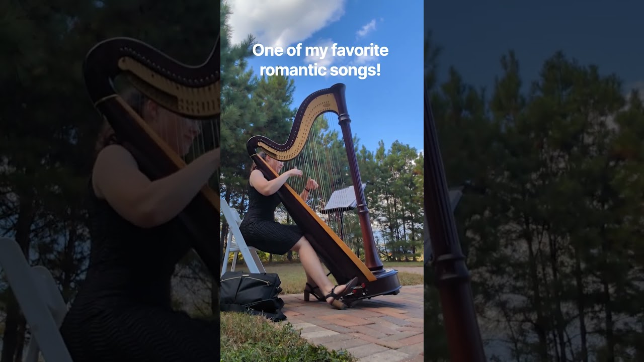 Promotional video thumbnail 1 for Katherine Kappelmann, Houston Harpist