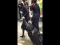 Japanese Flight Attendants
