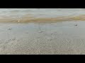 Pehli Baar Mile Hain Shots Short Video Romantic Song Whatsapp Status Story Dilne Payaar Se Dekha