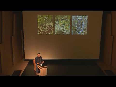 Jeudi en résidence #32 avec Marco Martella