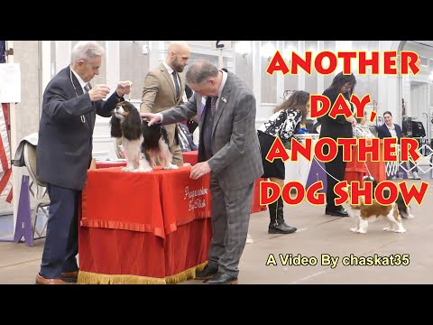 Another Day, Another Dog Show!