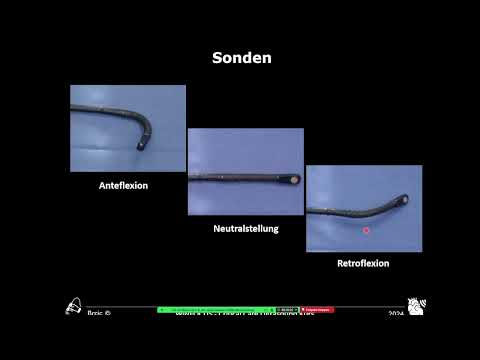 Einführung in die TEE