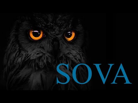 🌙 Priče za laku noć 🦉 SOVA 🦉 (Gasi svjetlo!)