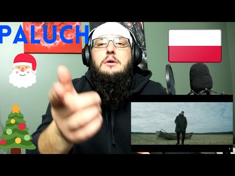Paluch ft Dj VaZee --- Nadciśnienie     REAKCJA