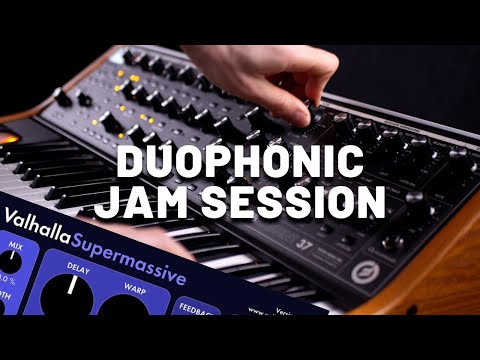 Duophonic Jam Session with Moog Subsequent 37 [Synthesizer Demo]