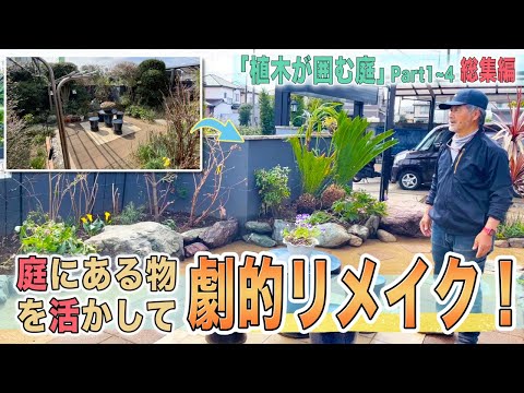 手間をかけずに庭のモクレンをうまく維持するためのアドバイスと推奨事項  庭園