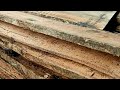 The Process Of Sawing Long Wood Export Material To China Sawmill