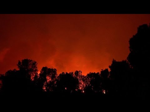 Spain heatwave fuels raging wildfire in Catalan national park