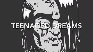 Mister Monster “Teenaged Dreams” (Shawn Grimm Acoustic cover)