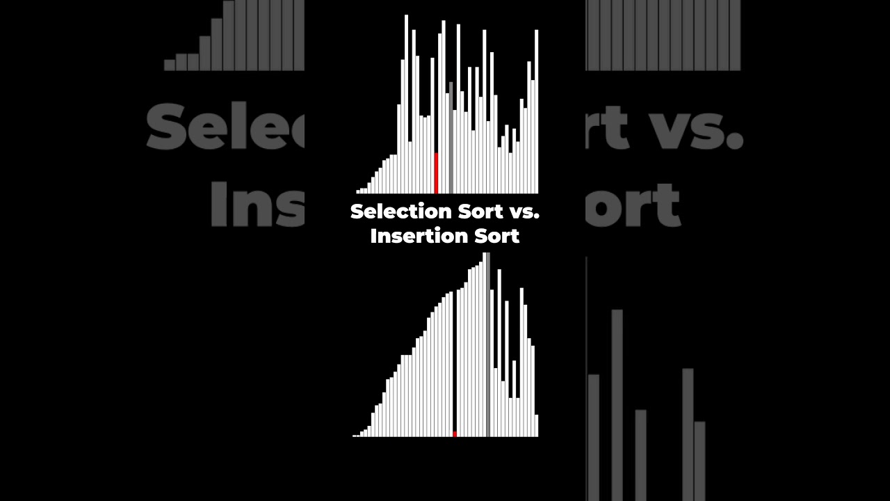 Selection sort vs insertion sort comparison animation #pythonturtle #sortingalgorithms #algorithms