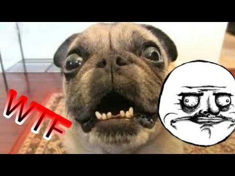 Me cago del susto con esto- THE FEAR