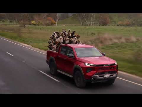 Dogs - Toyota Safety Sense