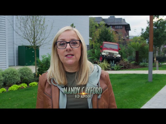 Behind-the-Scenes Sustainability