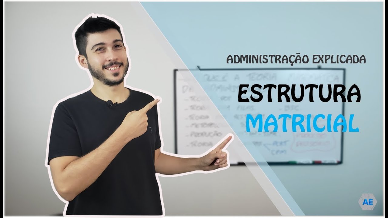 RESUMÃO - O que é a Estrutura Matricial?